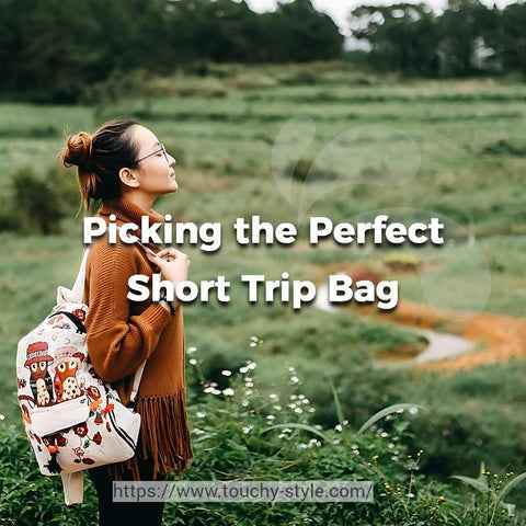 What Kind of Travel Bag is Suitable for Short Trips? - Touchy Style