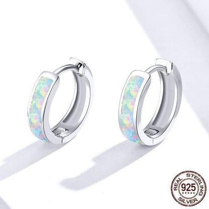 100% 925SS Round Clip Hoop Earrings Charm Jewelry - CQE861 - Touchy Style