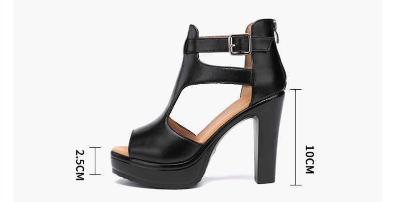 Lib Peep Toe Air Mesh Ankle Gladiator Stiletto Heels - Black in